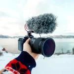 pexels-tilldaling-12461777